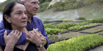 Couple plants two million trees over twenty years￼