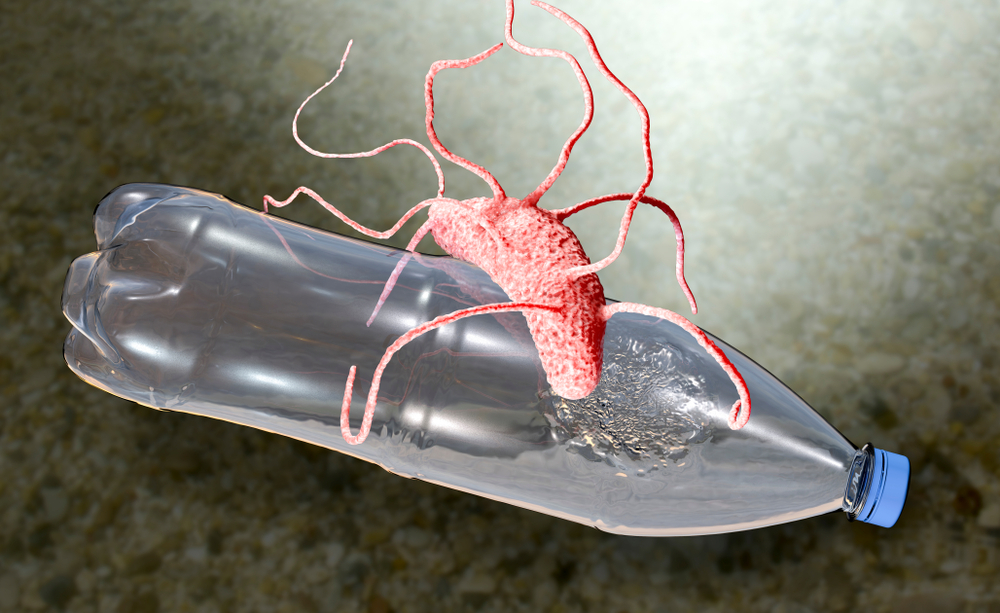 The new enzyme that is changing how we recycle